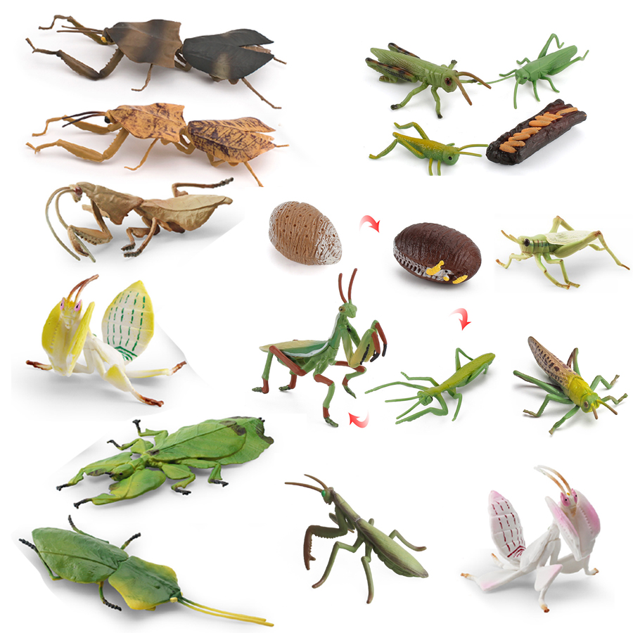 Realistic Orchid Mantis Dead L - Kids Toys Home recension och pris
